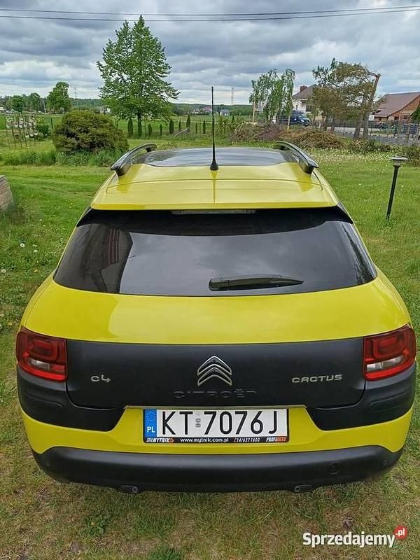 Obraz 2/4