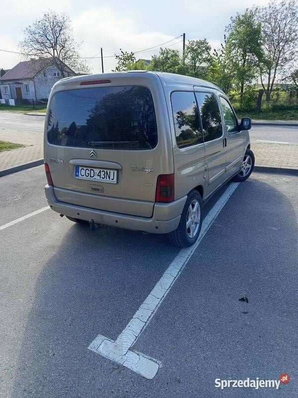 Obraz 4