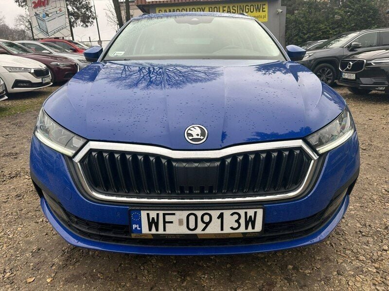Obraz 2/3