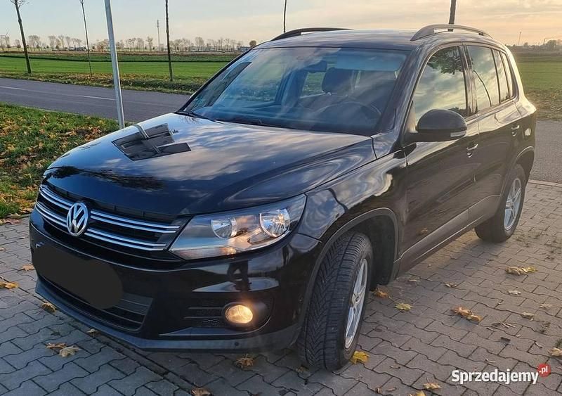 Używany 2012 VW Tiguan SUV | 35 900 zł (Dobra cena) - Obraz 1/4
