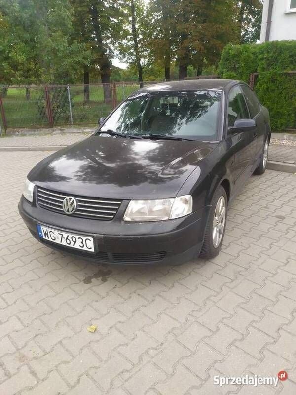Obraz 4/4