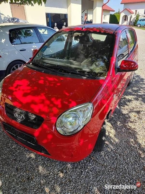Używany 2011 Kia Picanto 2 Hatchback | 10 500 zł (Uczciwa cena) - Obraz 1/4