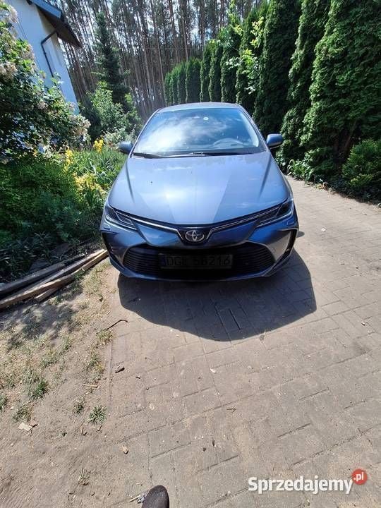 Używany Toyota Corolla 122 KM (89 kW) 2019 Niebieski Sedan/Limuzyna