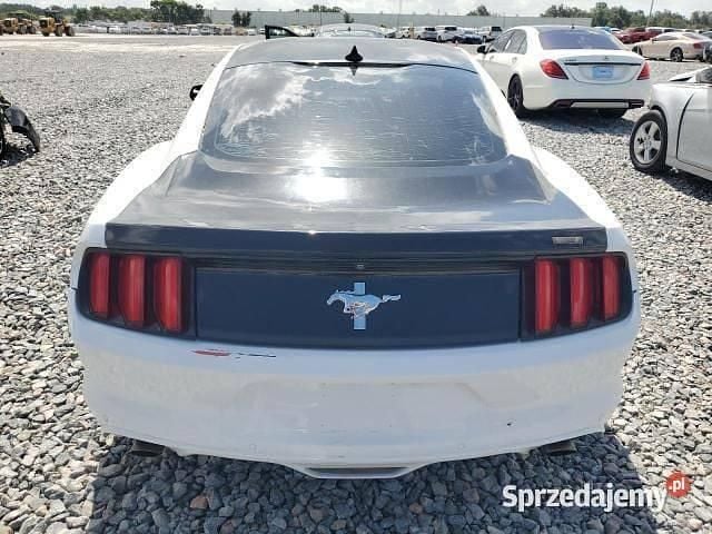Biały Używany 2017 Ford Mustang Coupe | 47 000 zł (Uczciwa cena) - Obraz 1/4