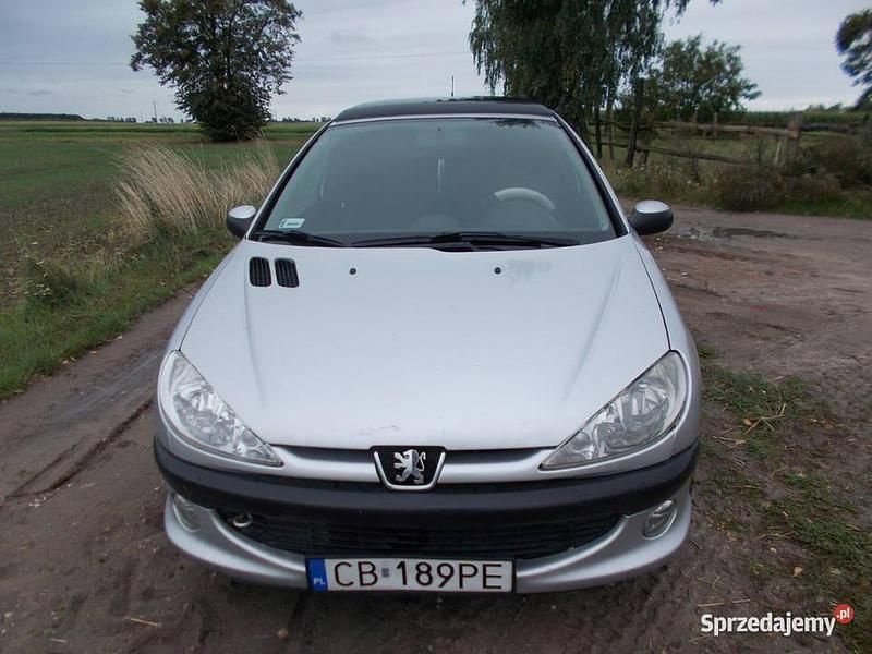 Używany 2002 Peugeot 206 | 3900 zł (Dość drogi) - Obraz 1/4