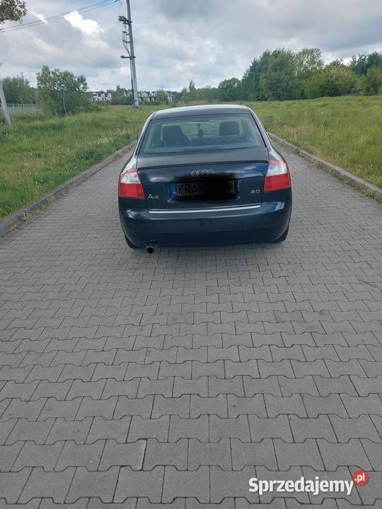 Obraz 3