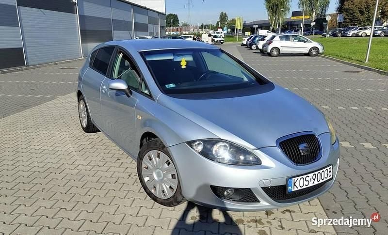 Srebrny Używany 2005 Seat Leon Hatchback | 5200 zł (Dobra cena) - Obraz 1/4