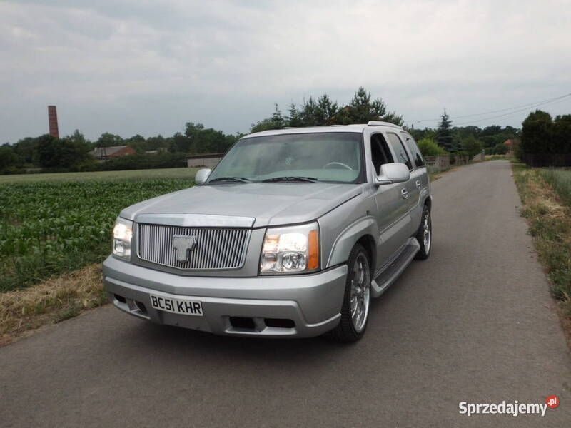 Używany Cadillac Escalade 2002 SUV