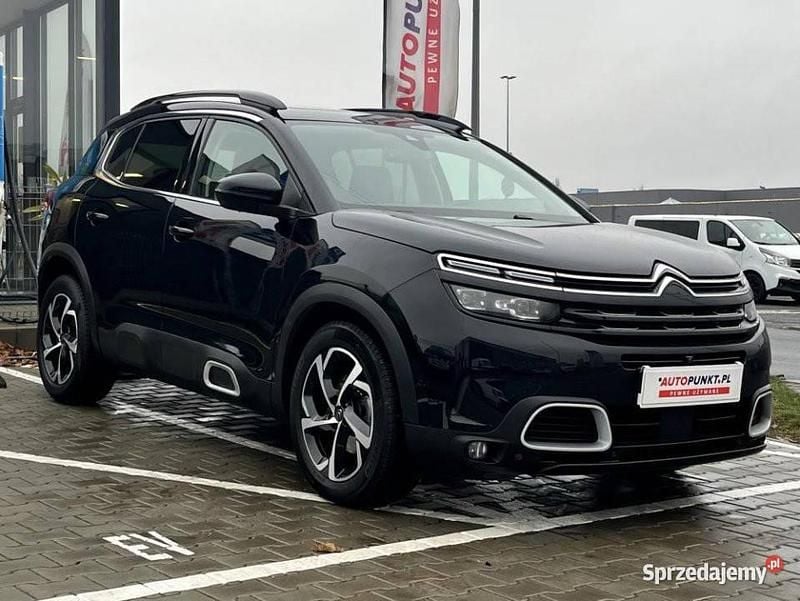 Używany Citroën C5 Aircross 2019 SUV