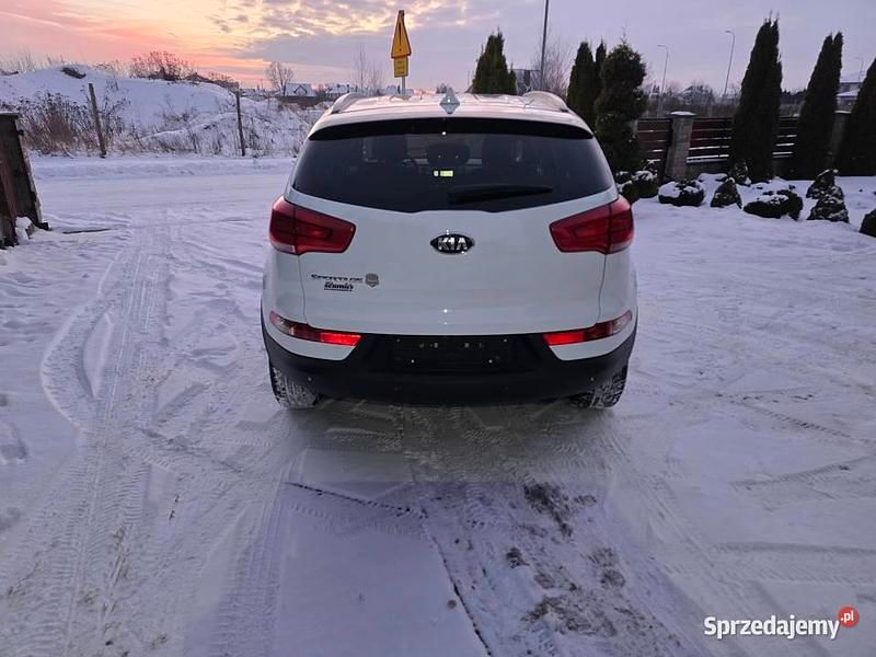 Używany Kia Sportage Vision 2015 Biały SUV