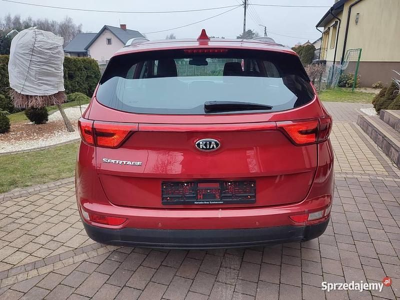Używany Kia Sportage 2016 Bordowy SUV