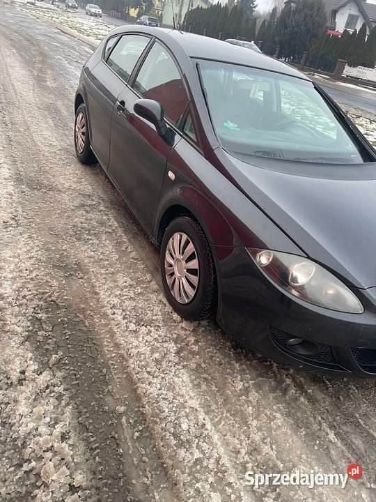 Używany 2006 Seat Leon Hatchback | 10 000 zł (Dość drogi) - Obraz 1/3