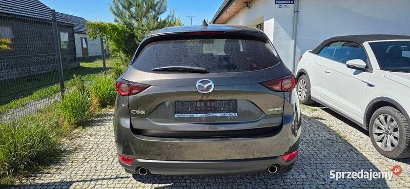 Obraz 4/4