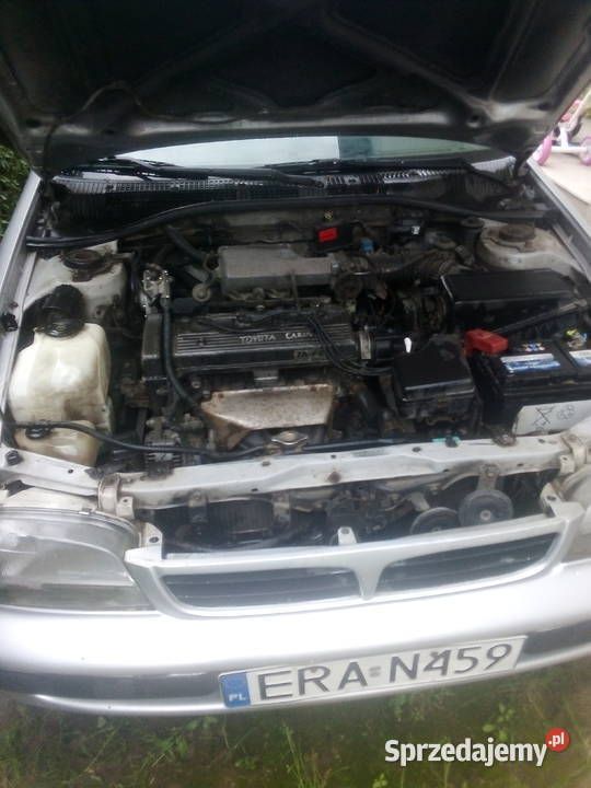 Obraz 3/4