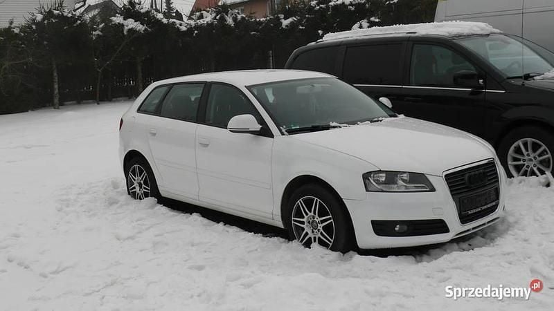 Używany Audi A3 2010 Biały Hatchback