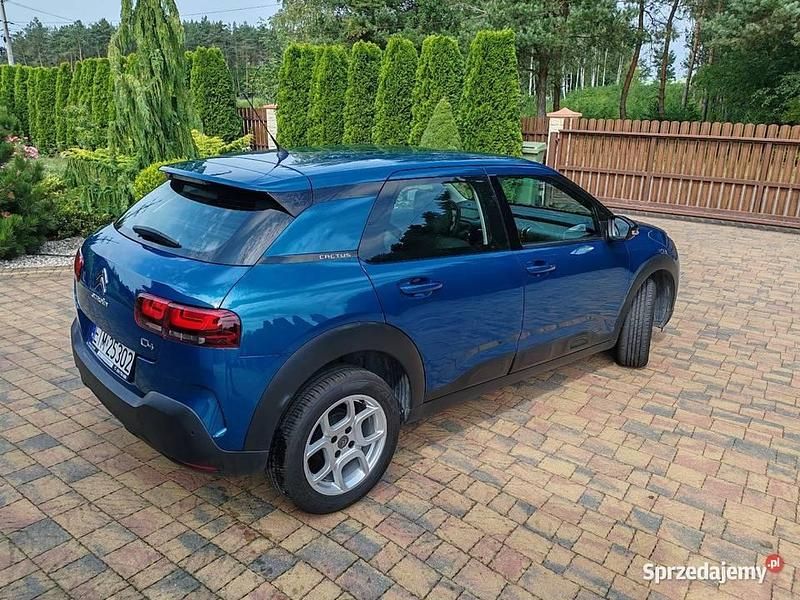 Używany Citroën C4 Cactus 2019 Zielony Hatchback