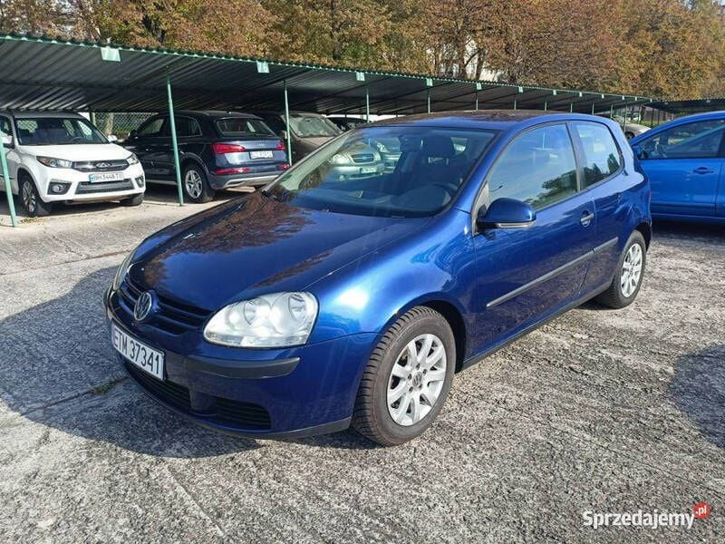 Używany VW Golf V 75 KM (55 kW) 2004 Niebieski Hatchback