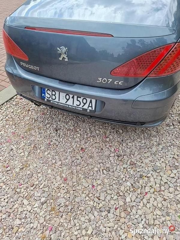 Używany 2004 Peugeot 307 | 7500 zł (Dość drogi) - Obraz 1/4