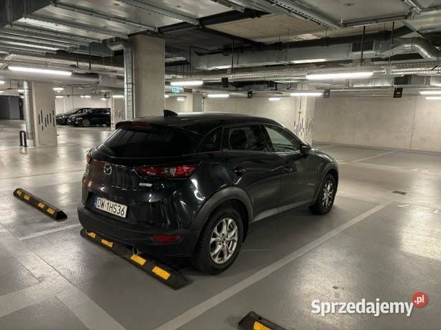 Obraz 3