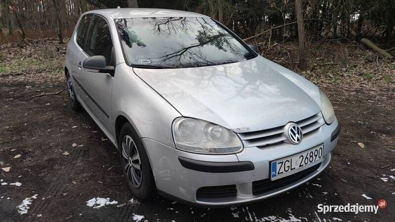 Srebrny Używany 2007 VW Golf V | 5900 zł (Dobra cena) - Obraz 1/4