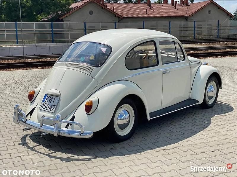 Używany 1966 VW Beetle | 49 000 zł - Obraz 1/2
