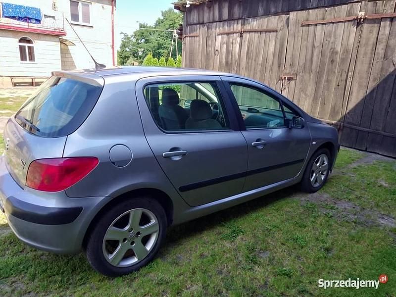 Używany 2004 Peugeot 307 | 5500 zł (Dość drogi) - Obraz 1/4