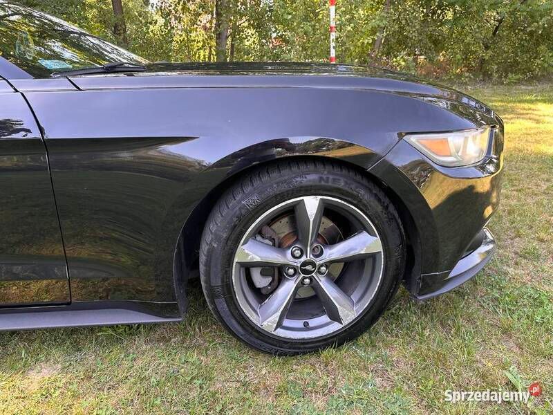Czarny Używany 2015 Ford Mustang | 65 000 zł - Obraz 1/4