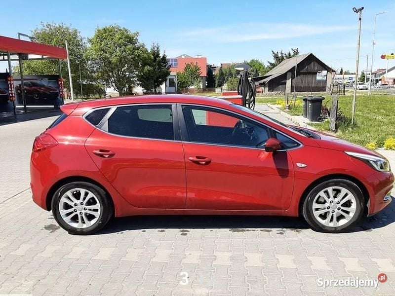 Używany Kia Ceed 2013 Czerwony Hatchback