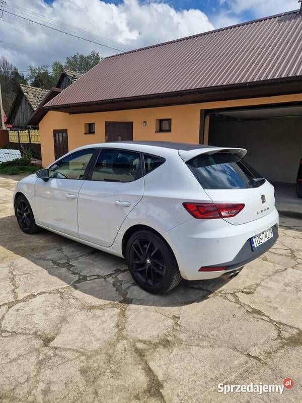 Obraz 4/4