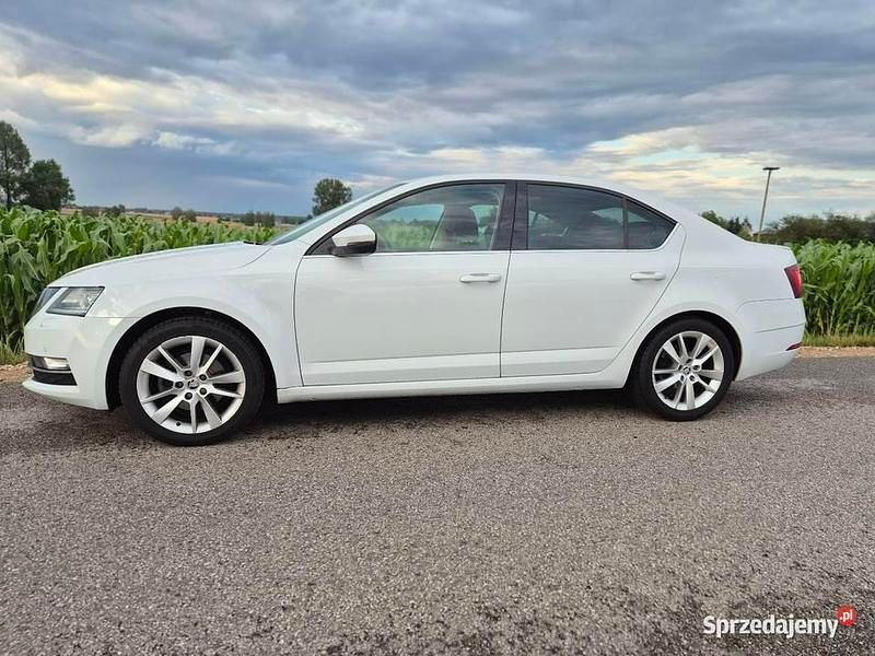 Używany Skoda Octavia 150 KM (110 kW) 2019 Biały Sedan/Limuzyna