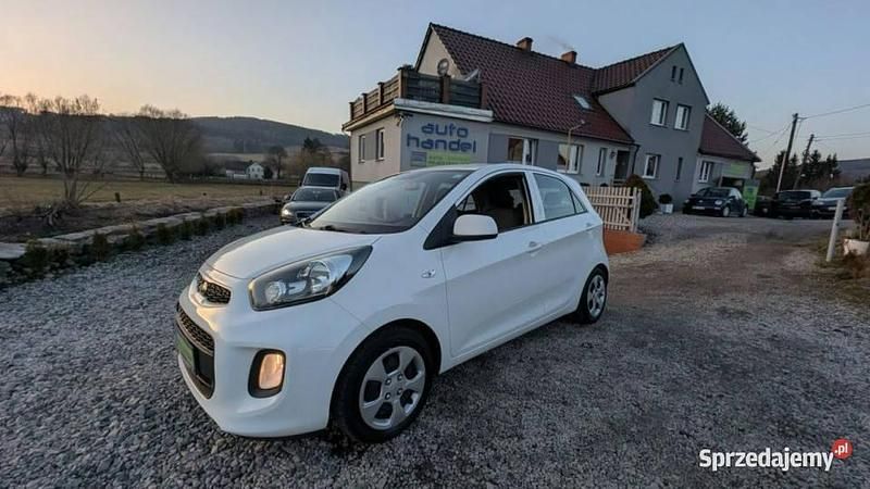 Używany Kia Picanto 67 KM (49 kW) 2016 Biały Hatchback