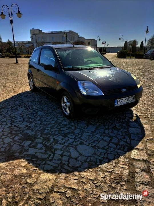 Używany 2004 Ford Fiesta Hatchback | 2900 zł (Dobra cena) - Obraz 1/4