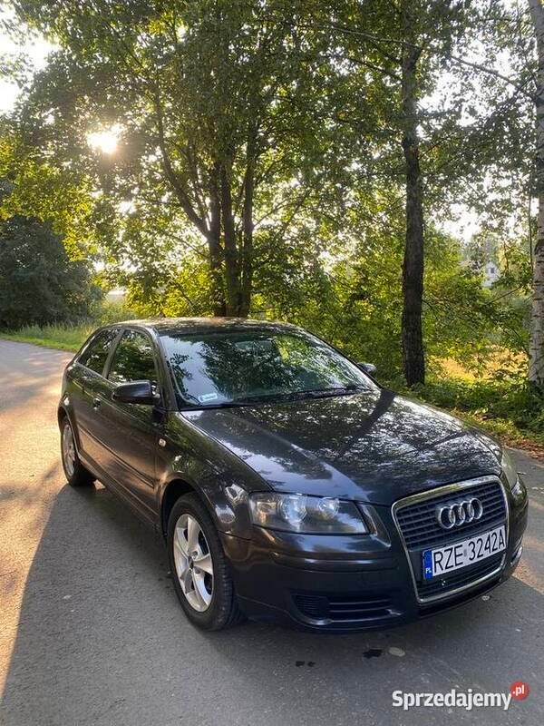 Używany 2007 Audi A3 | 13 800 zł (Uczciwa cena) - Obraz 1/4