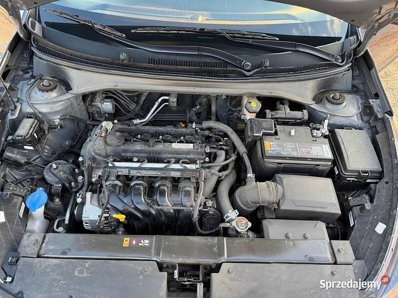 Używany Kia Rio X-Line 2021