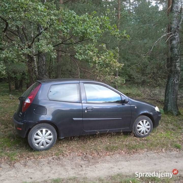 Obraz 4/4