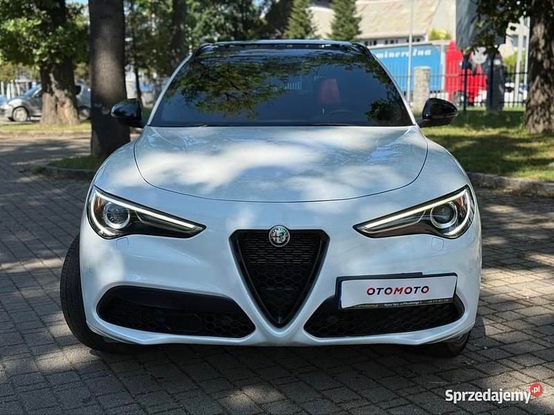 Biały Używany 2021 Alfa Romeo Stelvio SUV | 179 900 zł - Obraz 1/4