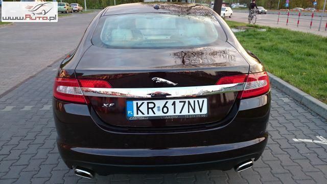Używany Jaguar XF Premium Luxury 240 KM (176 kW) 2011 Bordowy (metalik, perła) Sedan/Limuzyna