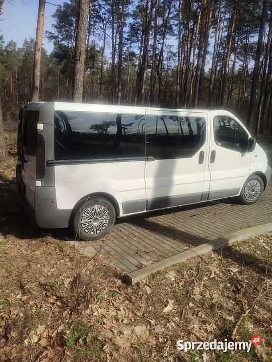 Używany 2007 Renault Trafic Van | 20 000 zł (Dobra cena) - Obraz 1/4