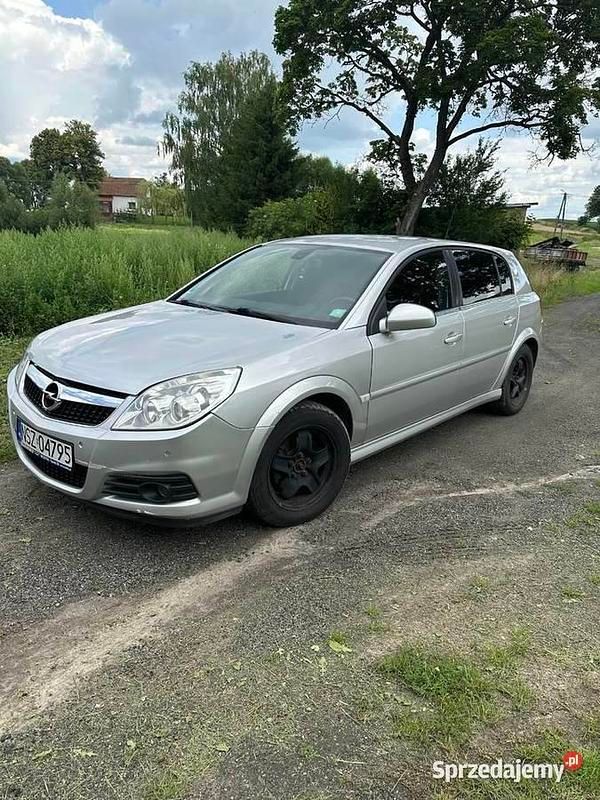 Używany 2007 Opel Signum Kombi | 10 000 zł (Dość drogi) - Obraz 1/4