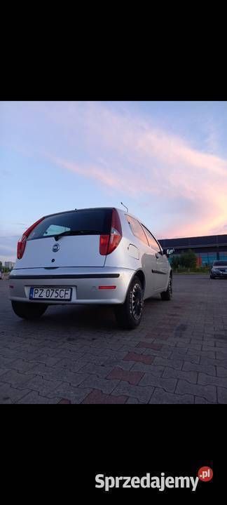 Srebrny Używany 2009 Fiat Punto Hatchback | 8500 zł - Obraz 1/4