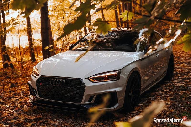 Biały Używany 2018 Audi S5 Ambiente Sedan/Limuzyna | 145 000 zł - Obraz 1/4