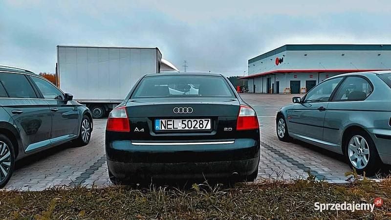 Używany 2002 Audi A4 | 8500 zł (Drogi) - Obraz 1/4