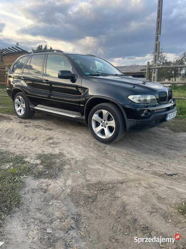 Używany 2004 BMW X5 Sport Line SUV | 23 000 zł (Dość drogi) - Obraz 1/4