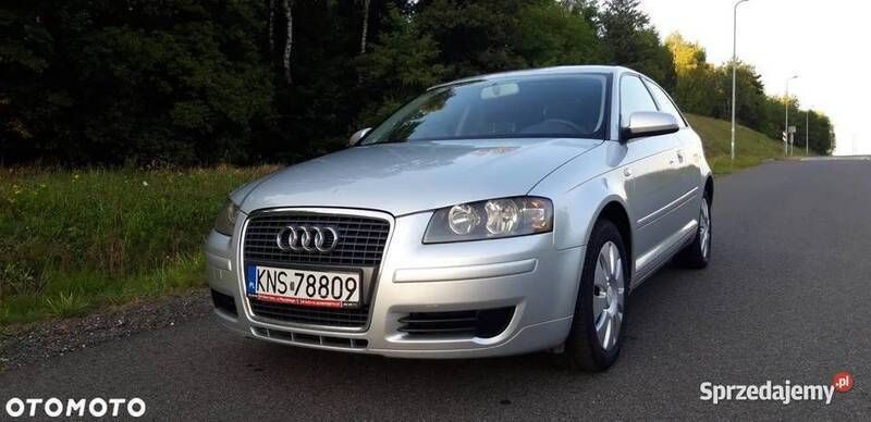 Używany 2008 Audi A3 Ambition | 16 800 zł (Dobra cena) - Obraz 1/4