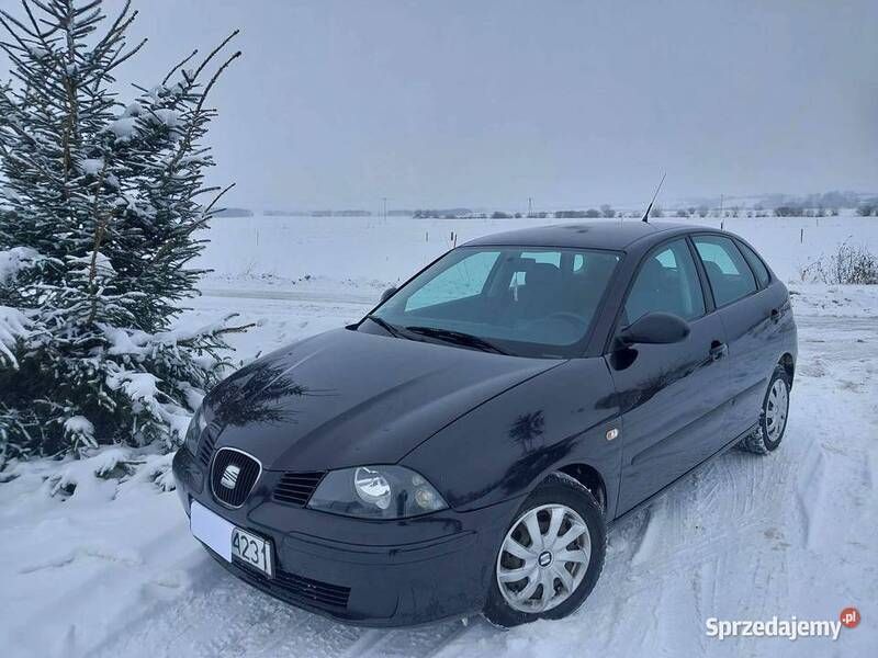 Używany Seat Ibiza 2004 Hatchback