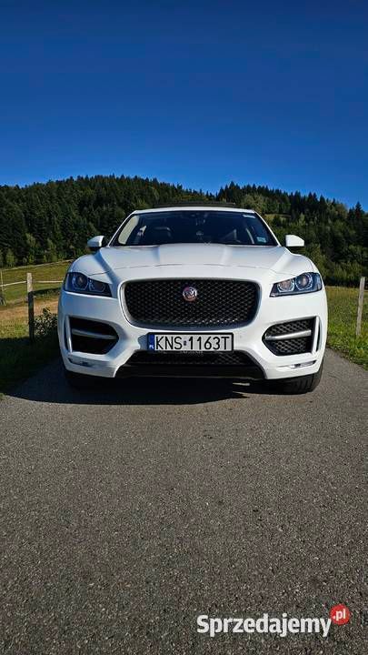 Biały Używany 2019 Jaguar F-Pace SUV | 119 900 zł (Drogi) - Obraz 1/4