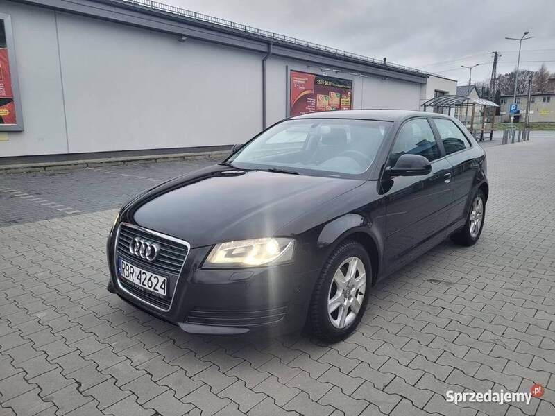 Czarny Używany 2010 Audi A3 Hatchback | 21 900 zł (Uczciwa cena) - Obraz 1/4