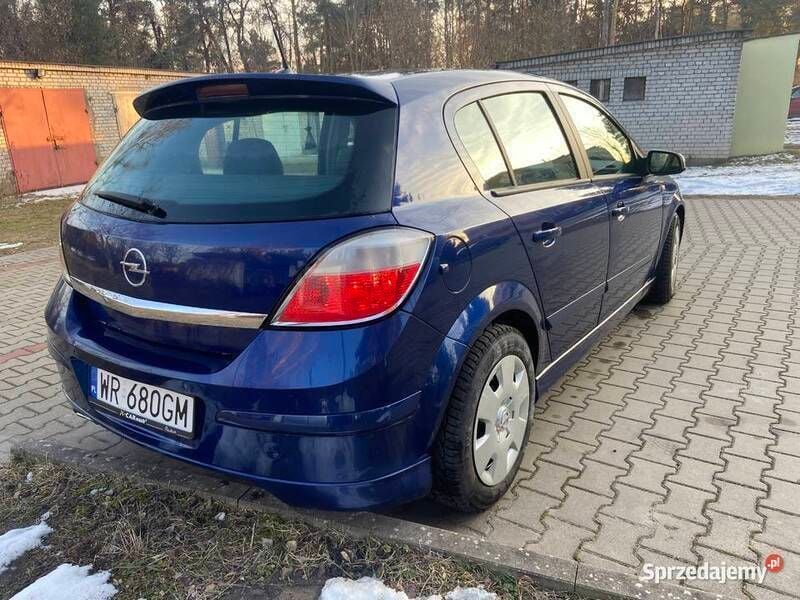 Obraz 3