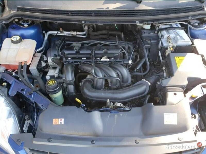 Używany Ford Focus 2009 Niebieski Hatchback