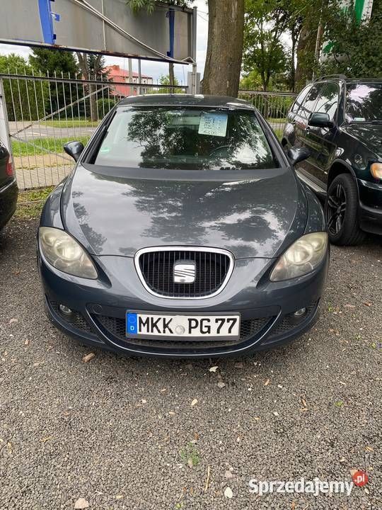 Szary Używany 2007 Seat Leon Hatchback | 15 800 zł (Uczciwa cena) - Obraz 1/4